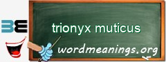 WordMeaning blackboard for trionyx muticus